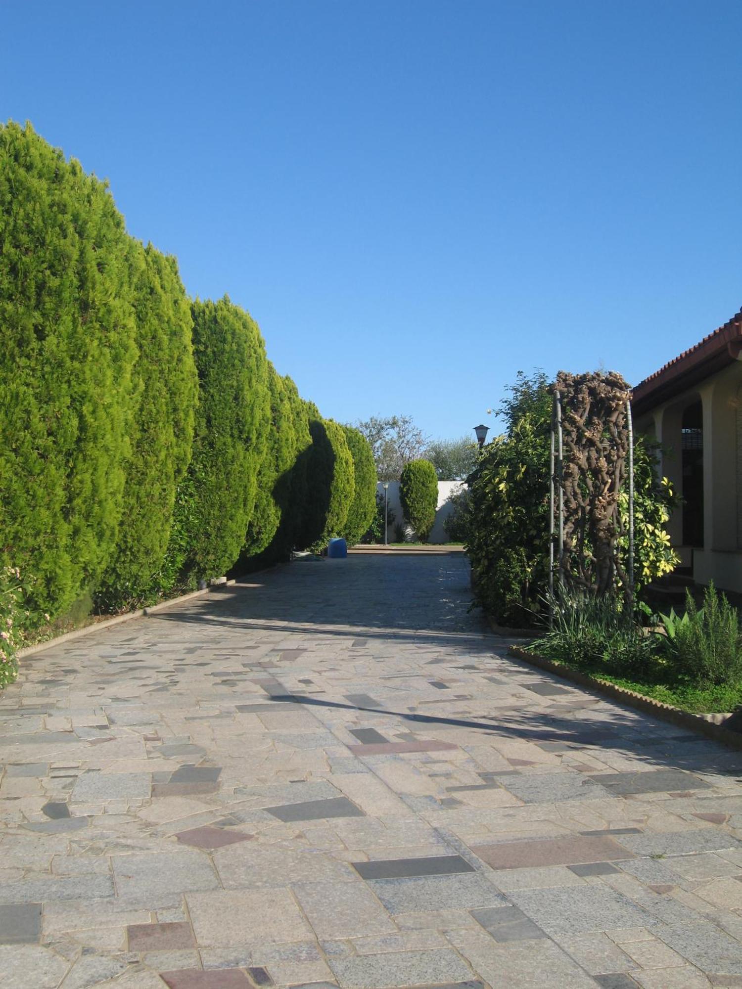 Villa San Pietro Villa Primavera מראה חיצוני תמונה
